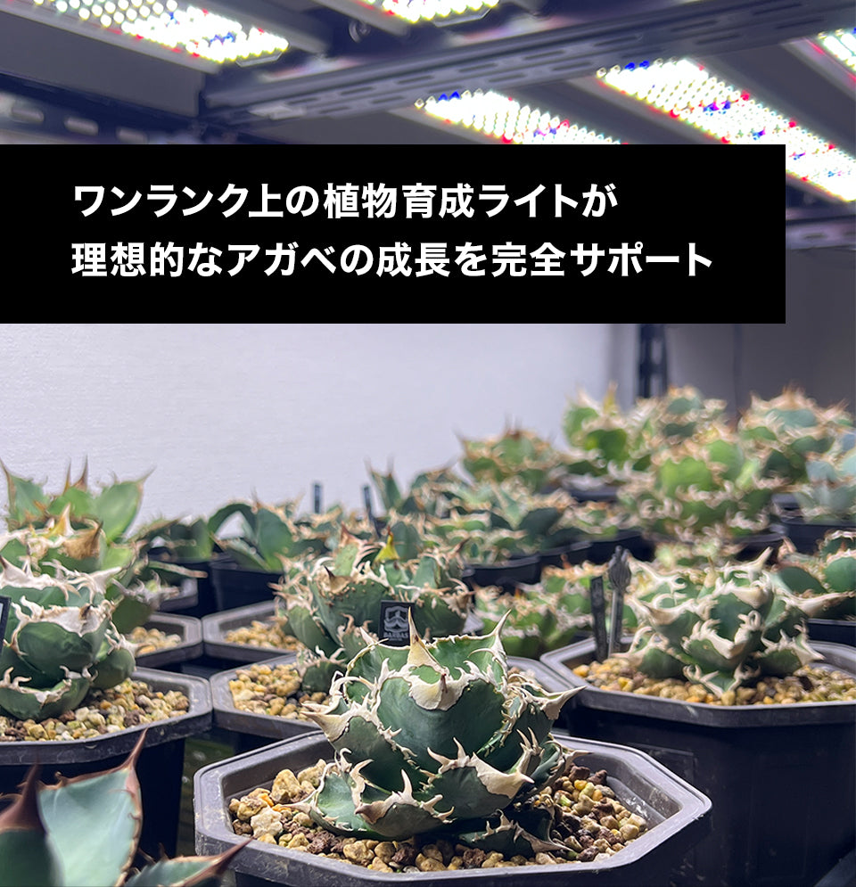 【11月下旬発送予定】LED Grow Light GL45シリーズ 植物育成ライト 400W 36cmモデルに比べて1.5倍の照射範囲(奥行70cm × 110~150cm)
